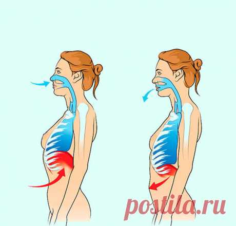 Техника дыхания по Бутейко, которая оздоравливает весь организм - ПолонСил.ру - социальная сеть здоровья - медиаплатформа МирТесен