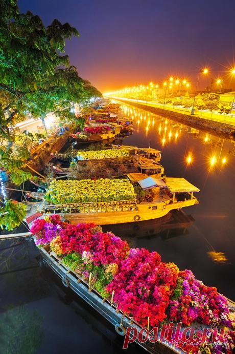 Saigon Flower Market - Vietnam | Beautiful Places