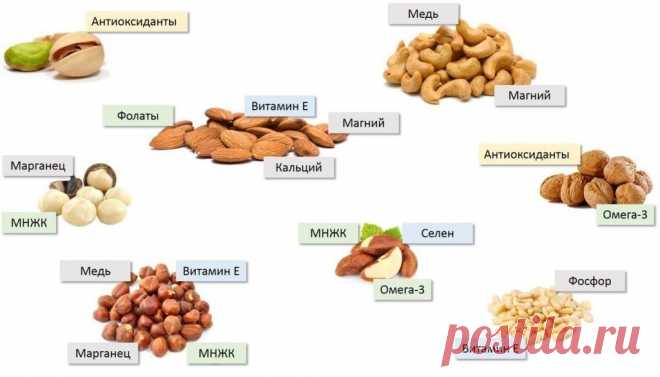 Содержание витаминов в орехах и семенах | Кухня Кухня Из таблицы мы узнаем сколько содержится витаминов в орехах и семенах. Здесь приведены примеры продуктов с содержанием витаминов в орехах и семенах.Содержание витаминов в орехах и семенах,Содержание