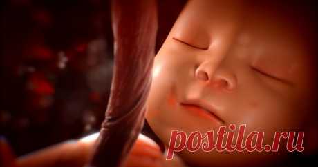 Это видео за несколько минут показывает 9 месяцев жизни в утробе матери — просто захватывает дух!