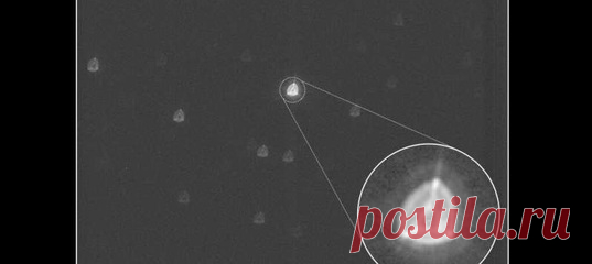 Запущенный в декабре прошлого года «Хеопс» прислал первый снимок. Супертелескоп, который уже называют «Охотником за экзопланетами», начал с изучения звезды в созвездии Рака, что очень, очень далеко от Земли.