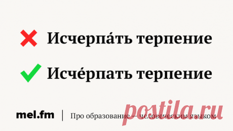 9 глаголов, которые выставляют нас безграмотными, когда мы их произносим | Мел | Яндекс Дзен