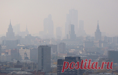 Ухудшение видимости и запах гари. Как Москву накрывал смог от лесных пожаров. В Москве преимущественно на юге, западе и юго-западе с 17 августа ощущается запах гари и смог