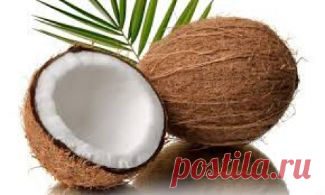 Как правильно открыть кокос, как расколоть кокос на половинки | Домоводство для всей семьи
