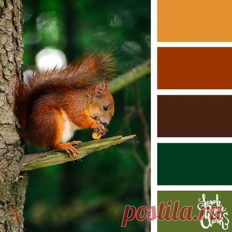 25 Color Palettes Inspired by Pantone Autumn/Winter 2019 Color Trends