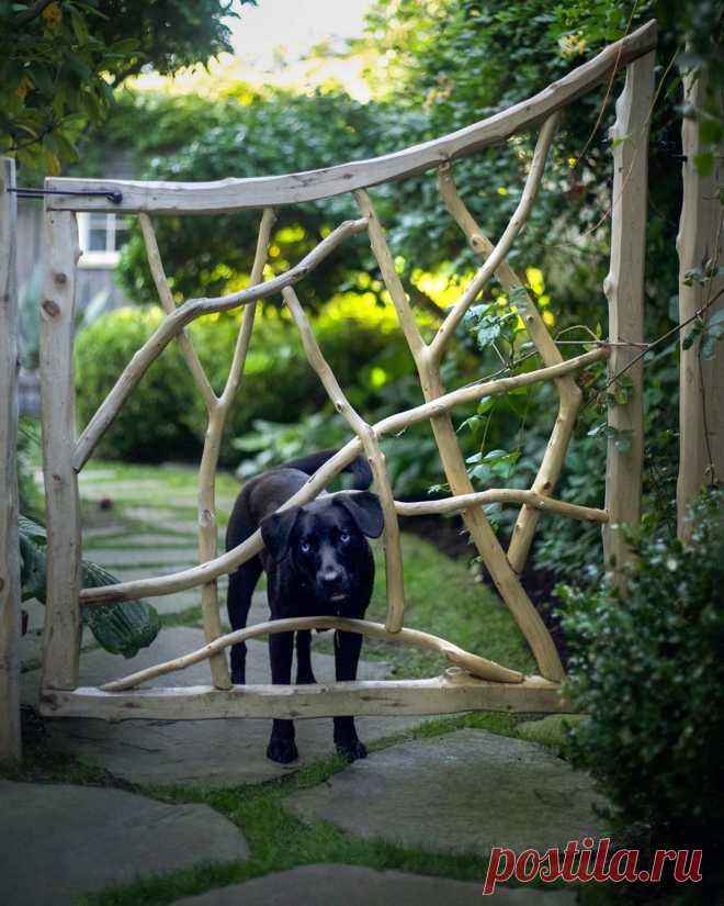 Gardens & Outdoor Living в Instagram: «Behind this stripped cedar gate is the @oldhomesteadprovincetown (and its resident pup Sam). Tap the link in our bio for a closer look. | 📸…» 3,028 отметок «Нравится», 33 комментариев — Gardens & Outdoor Living (@gardenista_sourcebook) в Instagram: «Behind this stripped cedar gate is the @oldhomesteadprovincetown (and its resident pup Sam). Tap…»