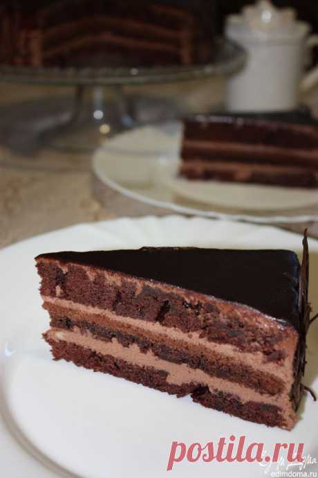 Шоколадный торт пользователя Алёна | Портал кулинарных рецептов «Едим дома!»