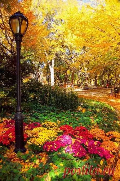 Beautiful Central Park, NYC - Beautiful Mother Nature