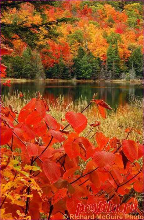 (11) autumn | I Love Autumn