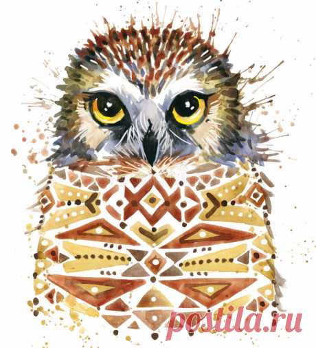 Cute Owl. Watercolor Owl. Owl Tee Shirt Illustration. Stock Illustration - Illustration of illustration, print: 69554314 Illustration about Cute Owl. Watercolor Owl. Owl Tee Shirt illustration. Ethnic background. Watercolor bird. Illustration of illustration, print, animal - 69554314