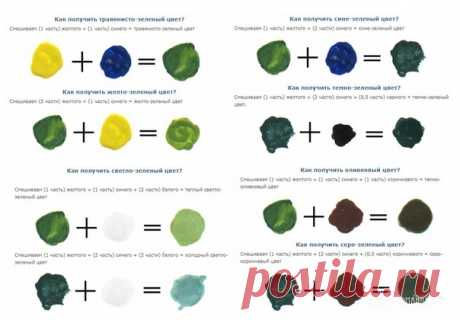 Полезный пост 
Как получить зеленый цвет, смешивая краски 

 Зеленая краска получается смешиванием желтого и синего цвета. Широкая гамма оттенков зеленого зависит от пропорций смешивания основных красок, а так же внесением дополнительных 
затемняющих или засветляющих тонов: белой и черной краски. 
Показать полностью…