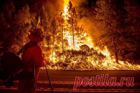 Беспощадный Королевский огонь Калифорнии | Дачный участок