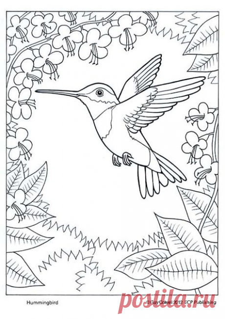 Humming bird drawing stained glass 70+ Ideas