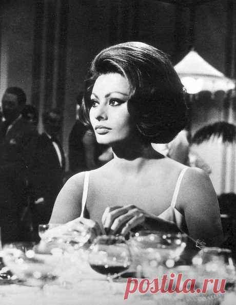 Sophia Loren - t9 Sophia Loren