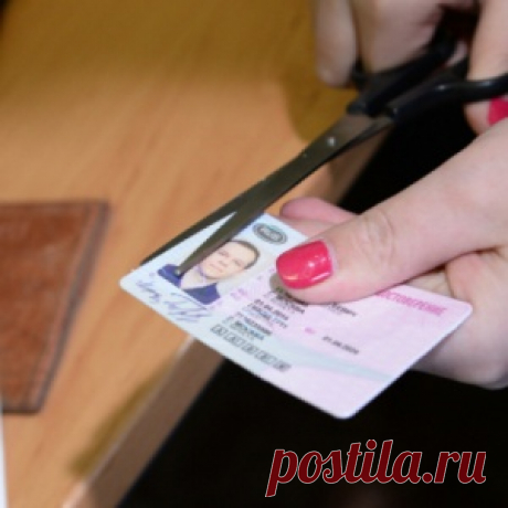 Правительство РФ внесло изменения в процедуру замены водительских прав