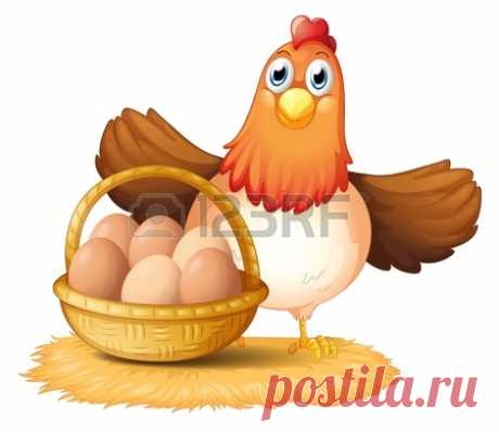 18005054-Иллюстрация-курицы-и-яйца-корзины-на-б..