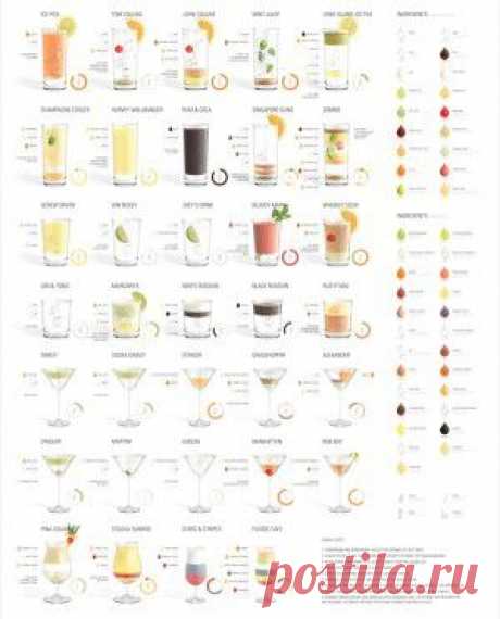 Рецепты алкогольных коктейлей. Инфографика