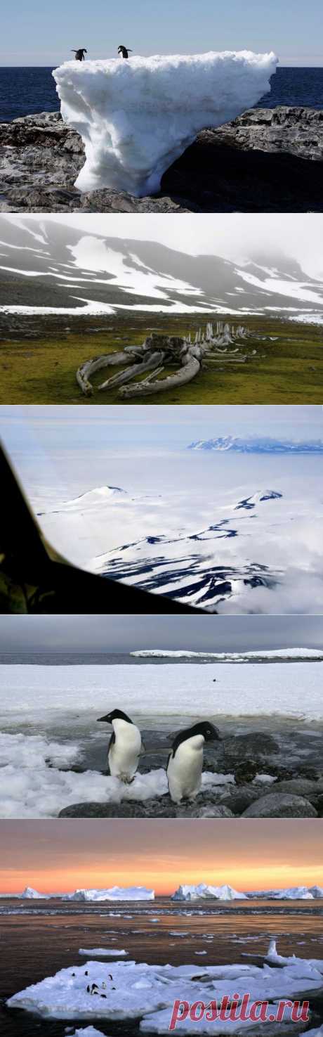 Исчезающие льды: пейзажи Антарктиды / Туристический спутник
