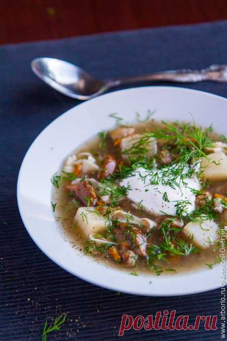 Суп из свежих грибов с домашней лапшой | Кулинарные заметки Алексея Онегина