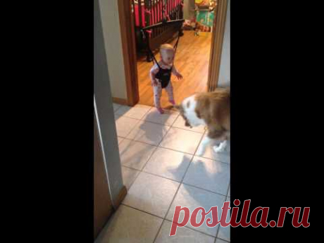 Ally &amp; Day, Dog teaching baby to jump - YouTube