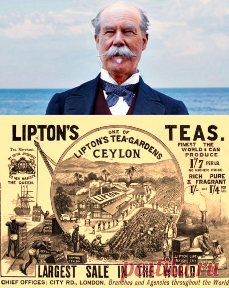 Томас Липтон: биография бизнесмена, создателя чайного бренда