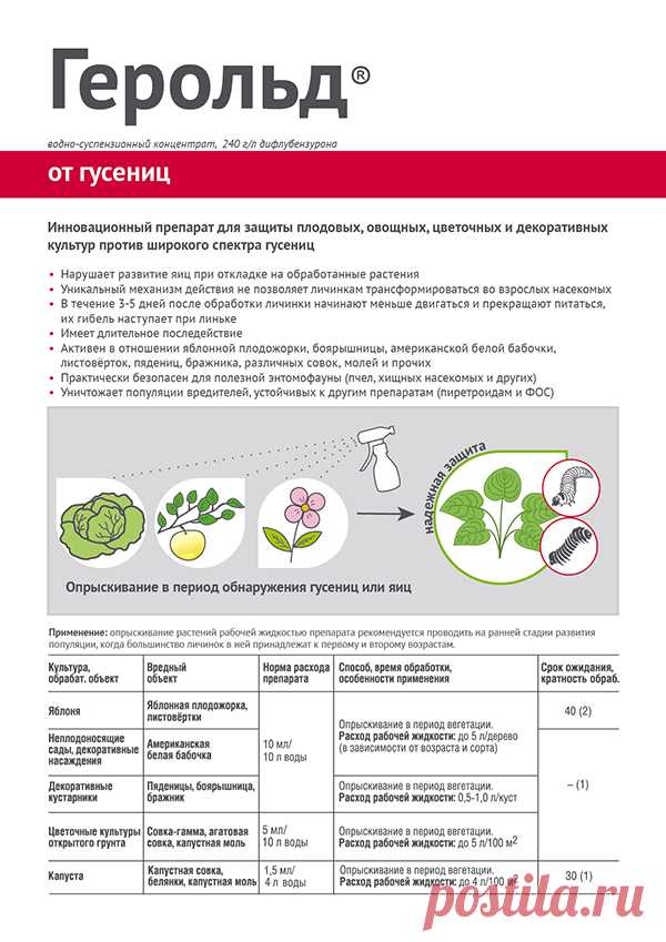 Герольд инсектицид инструкция по применению. Инсектицид Герольд : 5 мл. Герольд препарат от вредителей. Герольд 5мл. Герольд август.