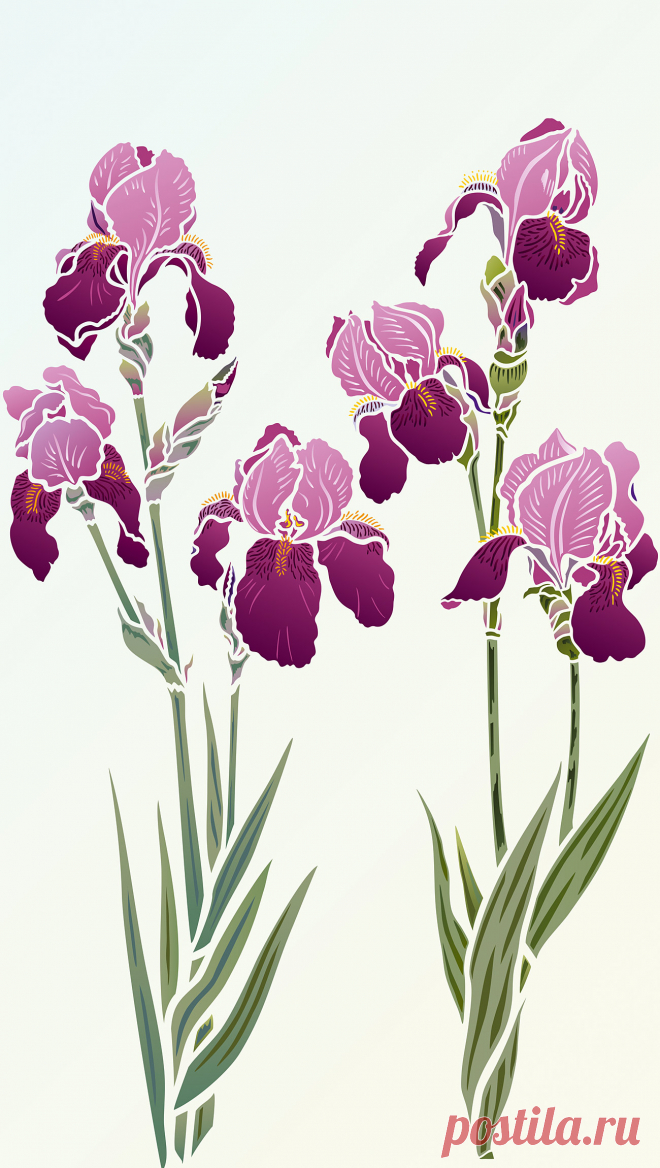 Iris Stencils 1 & 2 - Henny Donovan Motif Large Iris Theme Pack
Beautiful Iris flower stencils.
2 x 2 sheet designer stencils
Iris Stencils 1 & 2 - beautiful, elegant designer Iris Stencils based on Henny's detailed Bearded Iris drawings. Bring modern botanical and floral design touches to your interior decorating. Ideal for panels, furniture, soft furnishings and more. Two easy to use two layer stencils with shapely petals and detailed stamens and flower vein markings. Se...
