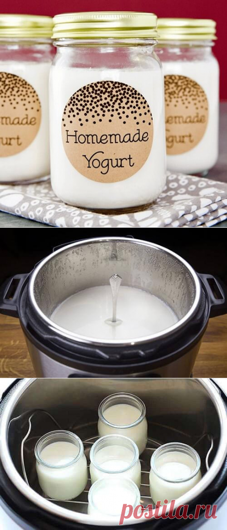 Как приготовить йогурт в мультиварке редмонд или поларис в баночках и без: 4 рецепта