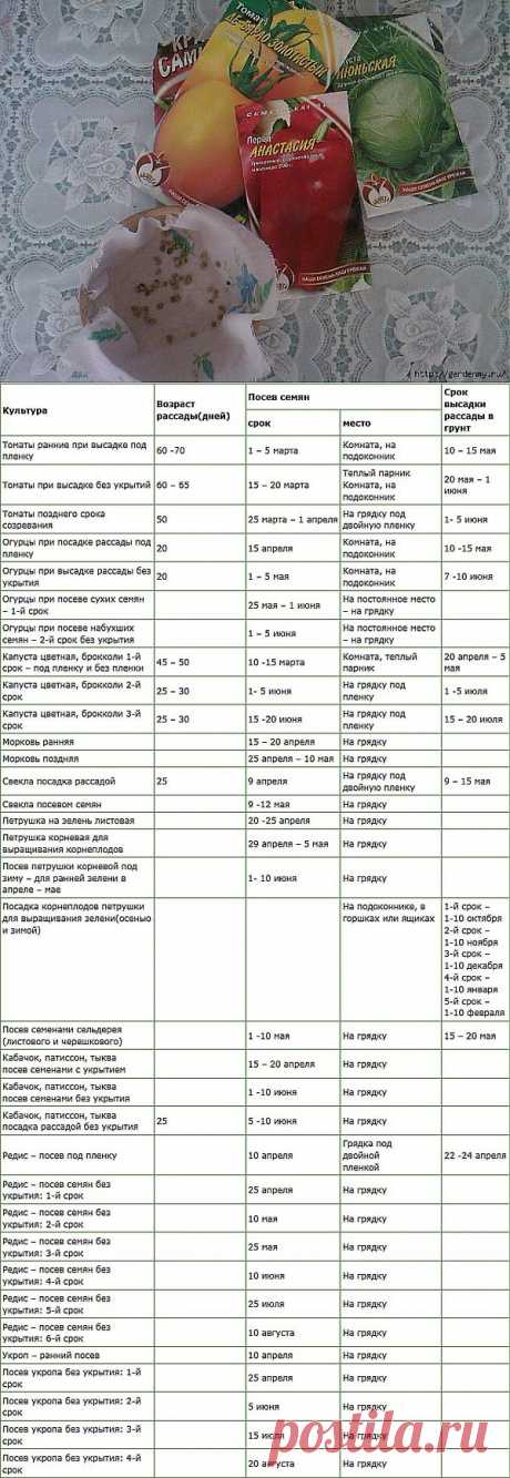 Полезная таблица посевов и высадки рассады в почву.