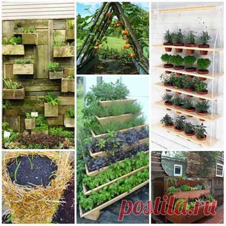 12 Amazing Vertical Gardening Ideas » iSeeiDoiMake