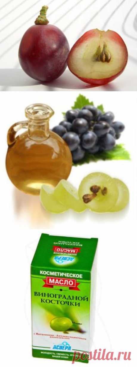 Масло виноградных косточек - масло виноградных косточек польза, полезные свойства масел, масла для кожи и волос