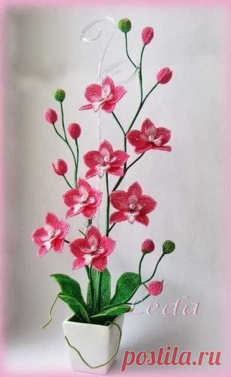 Орхидея из бисера..

#мореидей_цветы #мореидей_бисер