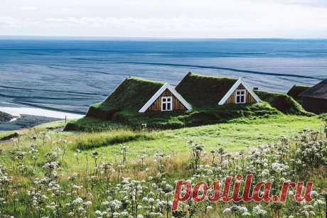 Дома с зеленой крышей / Фото дня / Моя Планета