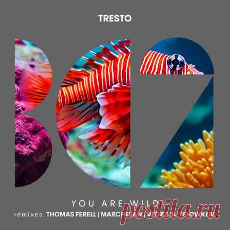 TRESTO – You Are Wild [BC2459]