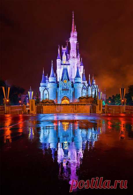 Walt Disney World - Orlando - Florida - USA (von Tom.Bricker)