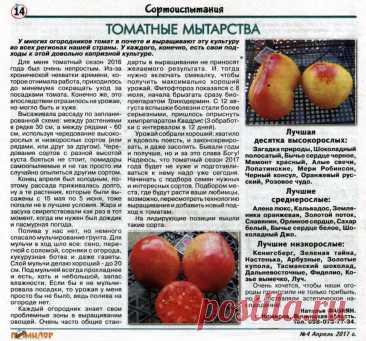 Томатные мытарства
