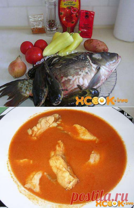 Халасли (венгерский рыбный суп) - рецепт с фото приготовления.