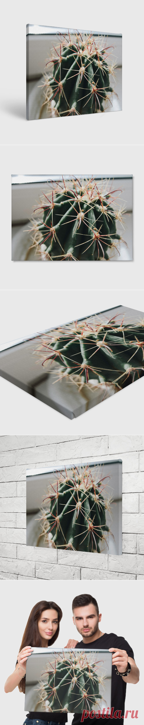 Холст прямоугольный Кактус фотография - купить по цене 1590 руб в интернет-магазине Всемайки, арт 3650727