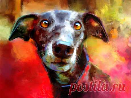 Milly Many Coats Digital Art (Giclée) by Denise Laurent A greyhound portrait. I love that face and those beautiful liquid eyes! She is a great excuse for an abstract painting with lots of colour to set off her dark coat and big brown eyes.

Limited editi...