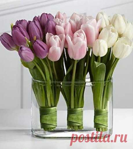 Arreglos de flores para el 14 de febrero: ¡Que viva San Valentín!  | Plantas