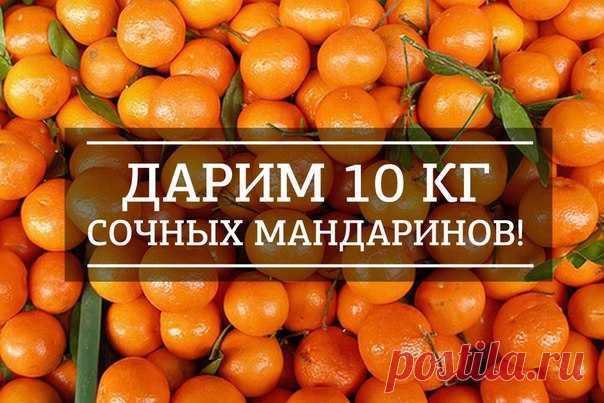 Быстрый розыгрыш 10 кг мандаринов! 

Что нужно для участия? 
1) Будьте подписчиком vk.com/auto_76
2) Поделитесь этой записью с друзьями 

Победителя определим 31 декабря! 

Желаем всем лёгкой победы!