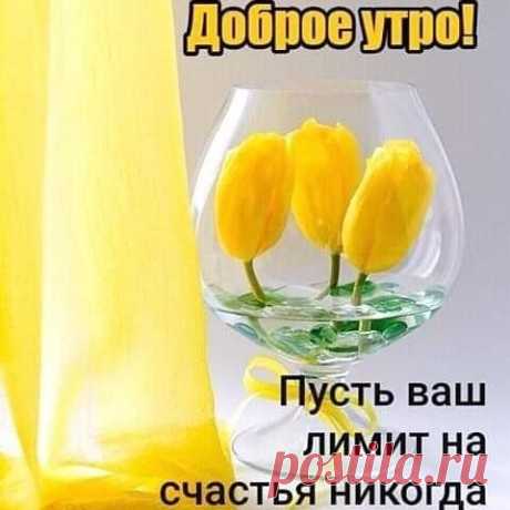 Photo by Natalia Elkhova on March 06, 2020. Image may contain: flower, text that says 'доброе утро! пусть ваш лимит на счастья никогда не истекает!!!'