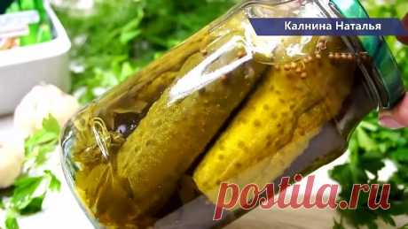 Засолила в 10 раз больше чем в прошлом году, нам не хватило!  Огурцы на Зиму
