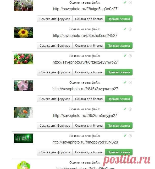 Отличное место в Сети, где вы можете складывать все ваши фотографии. Можно добавить-удалить фото в один клик. На каждое фото прописывается адрес для размещения в блогах, форумах, чатах. Все фото абсолютно бесплатно хранятся на сервисе ВЕЧНО!