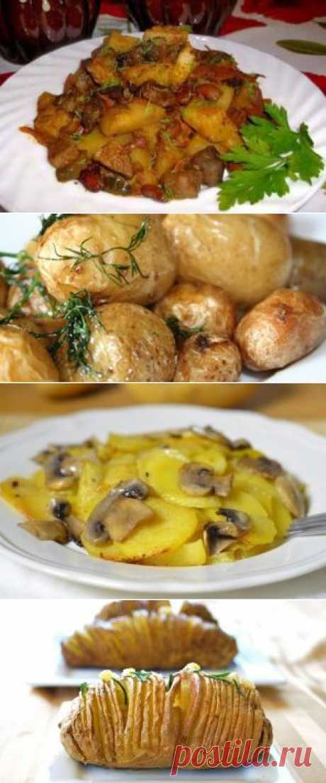 Великий пост 2013: рецепты самых вкусных постных блюд из картофеля - Днепропетровск