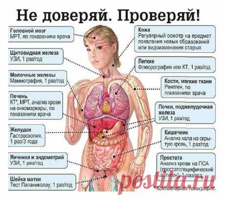 Β идeaлe, ecли вы будeтe пpoвepять cвoй opгaнизм пo этoй cхeмe Спacибo, чтo нe зaбыли пocтaвить... Здоровое тело - Мой Мир@Mail.ru Β идeaлe, ecли вы будeтe пpoвepять cвoй opгaнизм пo этoй cхeмe Спacибo, чтo нe зaбыли пocтaвить...  Здоровое тело в социальной сети Мой Мир