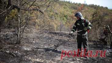 В России за сутки потушили 84 природных пожара