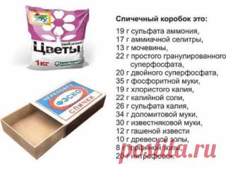 ОГОРОДНАЯ АРИФМЕТИКА: ОТМЕРЯЕМ УДОБРЕНИЯ "НА ГЛАЗОК"!
Сохраните, чтобы не потерять!
Не пугайтесь, все может быть гораздо проще. у огородника есть свои, причем весьма точные мерки.
 
 
Первая из них - спичечный коробок. В нем помещается:
 
19 г сульфата аммония,
17 г аммиачной селитры,
13 г мочевины,
22 г простого гранулированного суперфосфата,
20 г двойного суперфосфата,
35 г фосфоритной муки,
19 г хлористого калия,
22 г калийной соли,
26 г сульфата калия,
34 г доломитовой...