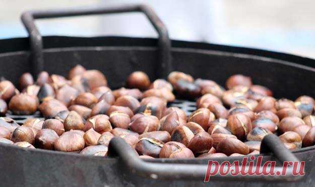 Осень и #здоровье. При чем здесь каштаны
-  Это вкусный и полезный дар природы

#Каштаны — что можно приготовить. #Рецепты
- Каштановый крем: простой рецепт вкусной пасты
- Кастаньяччо: каштановый #кекс из Тосканы (веганский)
- Кастаньяччо, осенний апулийский #десерт