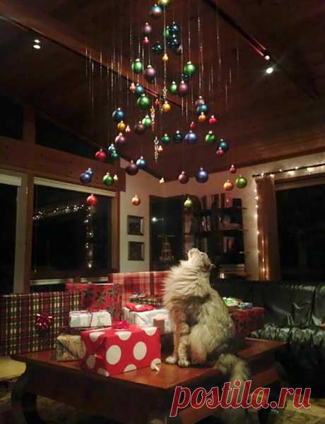 Genius Hacks to Cat-Proof Your Christmas Tree - Meowingtons